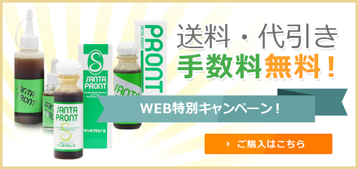 送料・振込手数料無料キャンペーン ～「サンタプロン」WEBサイトオープン記念～