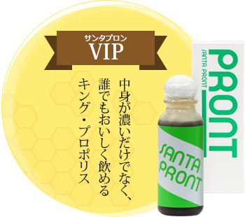 サンタプロンVIP