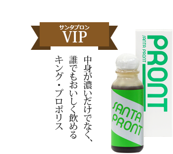 サンタプロンVIP