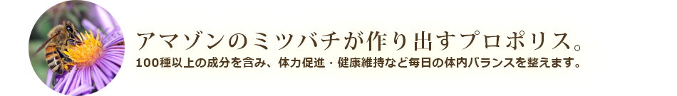 アマゾンのミツバチが作り出すプロポリス