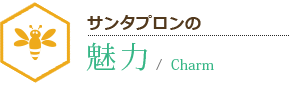 サンタプロンの魅力